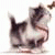 TranoPon TranoPon's picture