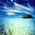 Jamestek Jamestek's picture