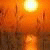 avtomobil_peEl avtomobil_peEl's picture