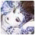 Anya100pl Anya100pl's picture