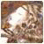 Iomarenenono Iomarenenono's picture