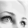 Angelafiply Angelafiply's picture