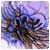 Xarikes Xarikes's picture