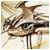 Undanandekes Undanandekes's picture
