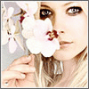 Williebah Williebah's picture