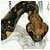 Robertvug Robertvug's picture