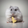 Williamhob Williamhob's picture