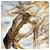 Antonioweb Antonioweb's picture